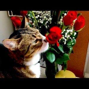 Meet your Posher, Jamie